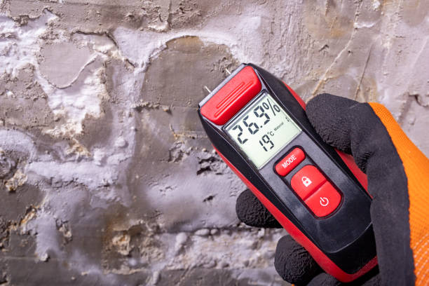 Best Mold Damage Repair  in Palm Springs, CA