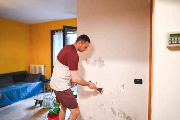 Best Affordable Mold Removal  in Palm Springs, CA